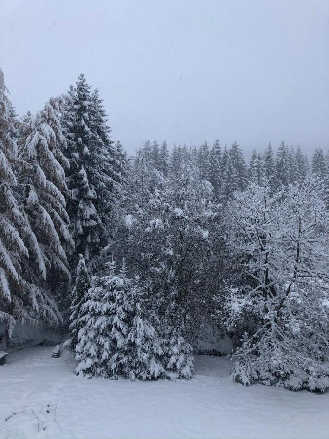 Le Chalet Du Narouel Hotel Gerardmer Exterior photo